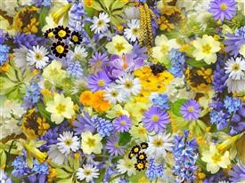 &quot;Flower Delivery Ohio University